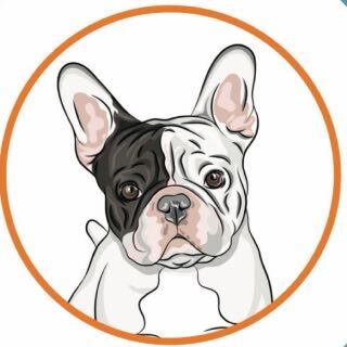 zobrazhennya_viber_2025-04-30_23-05-23-500